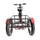 Електровелосипед CEMOTO CEM-ET06