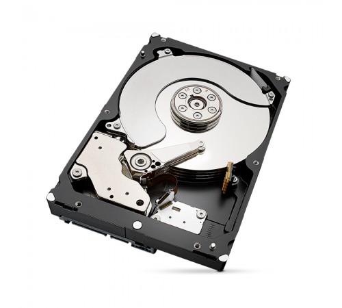 Жорсткий диск 6TB Seagate SkyHawk ST6000VX009 для відеоспостереження Жорсткий диск 6TB Seagate SkyHawk ST6000VX009 для відеоспостереження