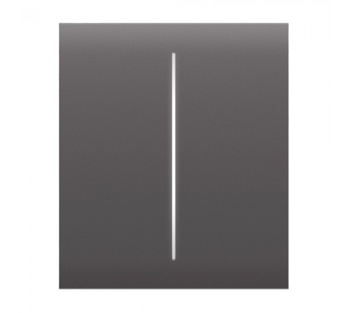 Кнопка Ajax CenterButton (2-gang) grey для двоклавішного вимикача Кнопка Ajax CenterButton (2-gang) grey для двоклавішного вимикача
