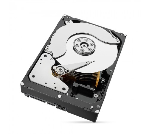 Жорсткий диск 8TB Seagate SkyHawk ST8000VX010 для відеоспостереження Жорсткий диск 8TB Seagate SkyHawk ST8000VX010 для відеоспостереження