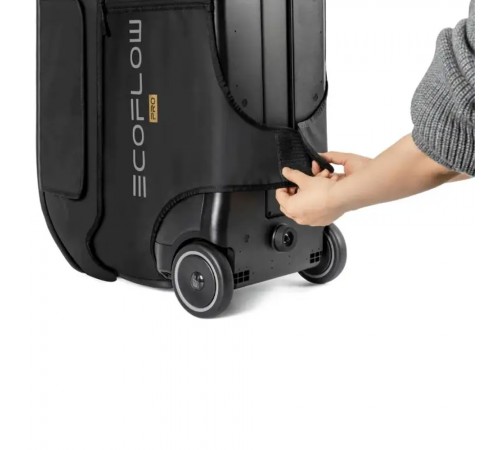 Сумка EcoFlow DELTA Pro Bag Сумка EcoFlow DELTA Pro Bag